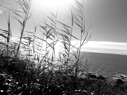 La Bernerie idéal pour organiser votre mariage